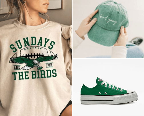 Go Birds cover photo collage