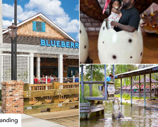 🌊 The Ultimate Myrtle Beach Adventure Guide cover photo collage