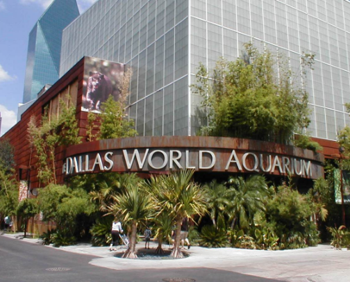 Dallas World Aquarium cover photo collage