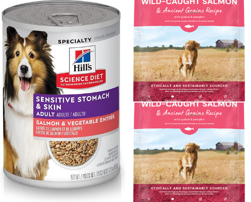 Best Premium Dog Food for a Healthy and Happy Dog cover photo collage