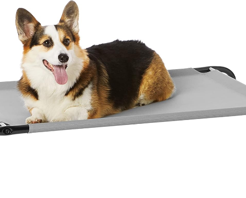 Dog Comfort Gear That Actually Holds Up cover photo collage