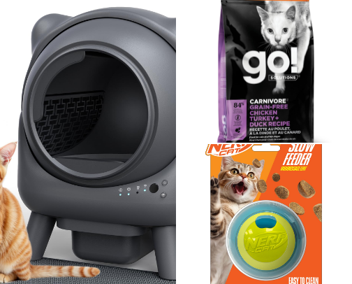 Must haves for cat owners cover photo collage