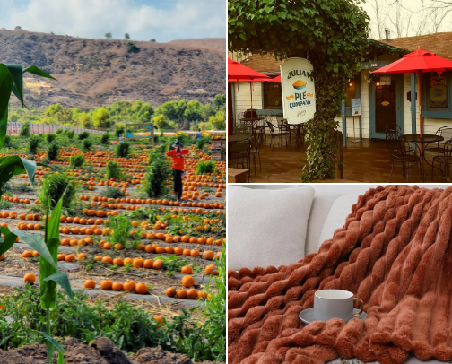 fallmaxxing - an ultimate guide to get into the Fall spirit cover photo collage