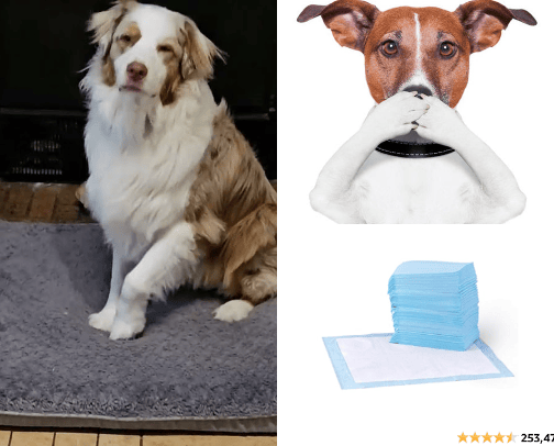 New Puppy Needs cover photo collage