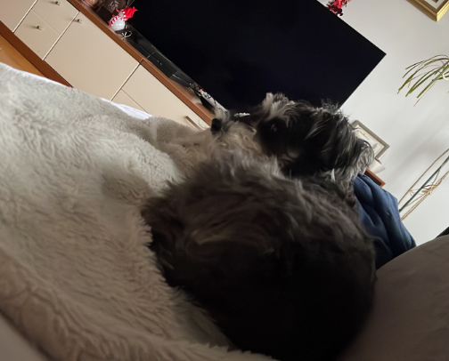 Personal care cover photo collage