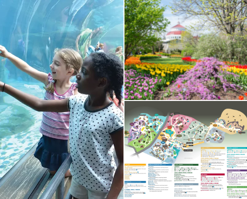 Zoos of the USA cover photo collage