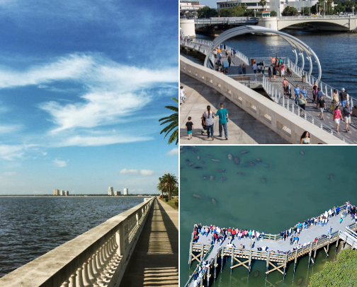 Tampa: free and fun edition cover photo collage