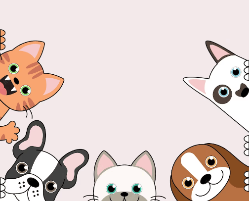The best for your pet🐾 cover photo collage