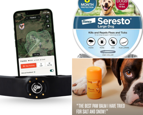 10 Must-Have Fall Dog Gear Essentials for 2026 cover photo collage