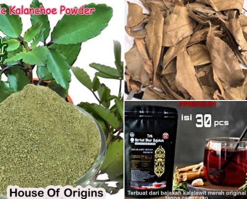 Best Herbal Drinks for Health – Top Wellness Picks from Amazon, Shopee & Etsy cover photo collage