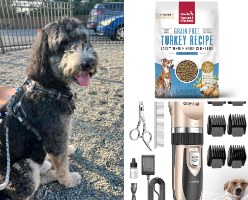 Dog Must Haves from Amazon 🐾 cover photo collage