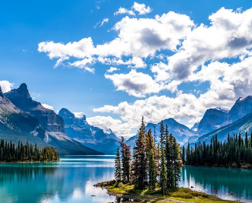 Best Small Product Businesses in Alberta cover photo collage