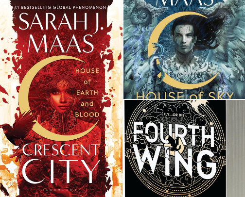 Fantasy Book Recs cover photo collage