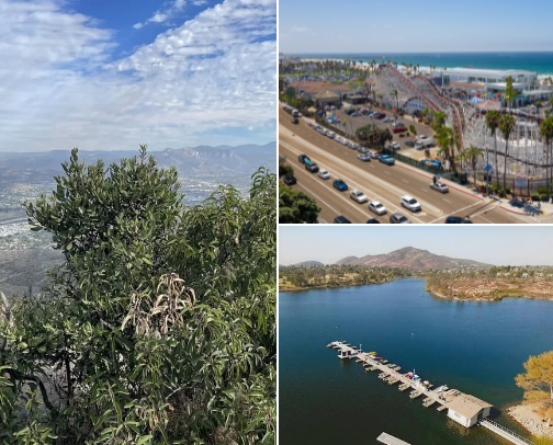 Things To Do in San Diego, CA cover photo collage