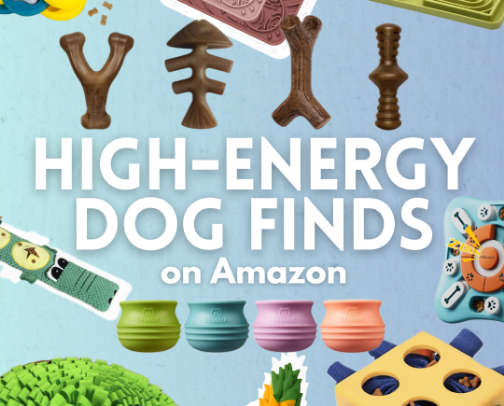 Dog Finds cover photo collage