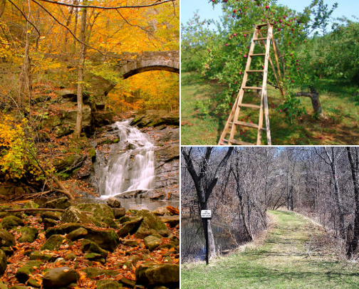 Get Out, Get Active! cover photo collage