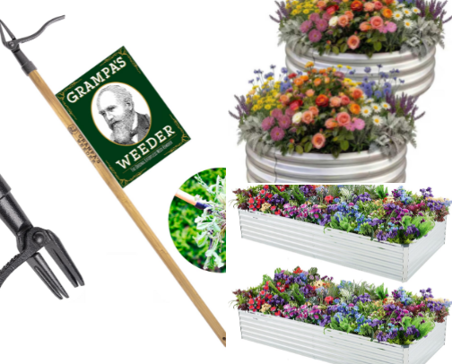 My garden favorites after learning the hard way cover photo collage