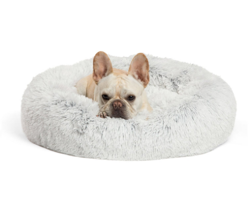 The Anxious Dog Starter Kit: What Actually Helped My Dog Calm Down cover photo collage