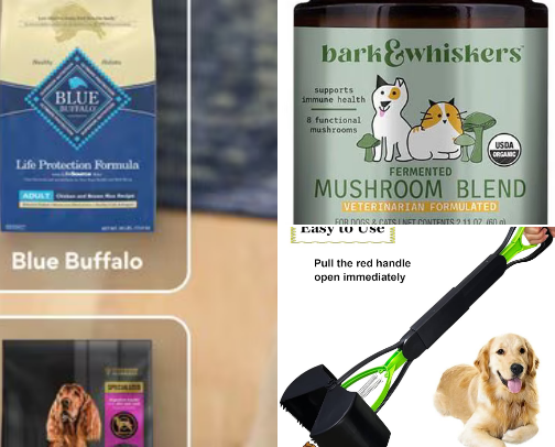 Lion, Tigers and Bears, OH MY! cover photo collage