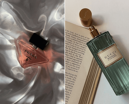 Fragrances that makes you noticeable cover photo collage