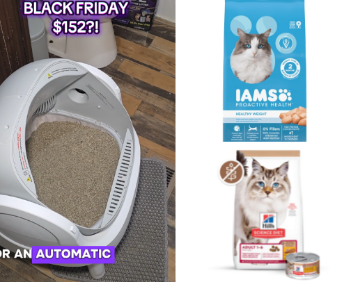 Cat essentials 🐈‍⬛ cover photo collage