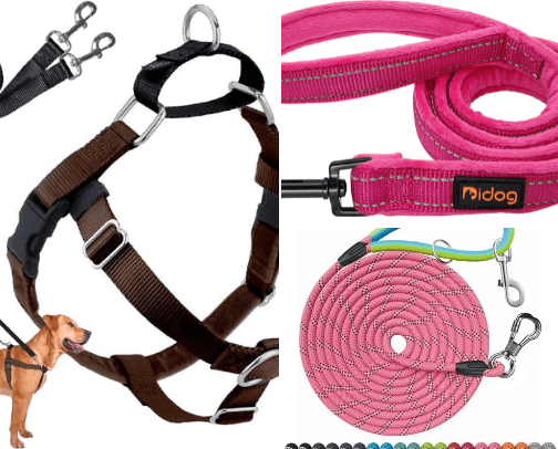 Leash/harness/collars cover photo collage