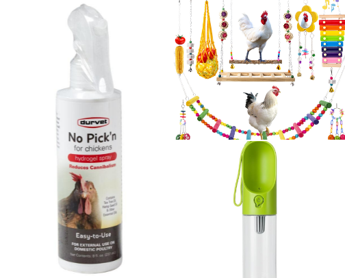 Paws, purrs and clucks- dogs, cats and chickens cover photo collage