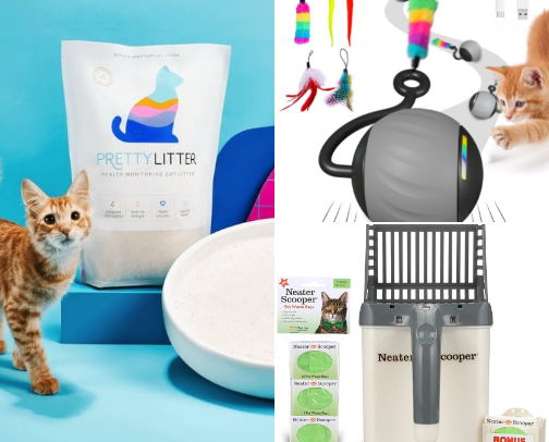 Paddy’s Favorite Things (Cat-Approved, RV-Tested) cover photo collage