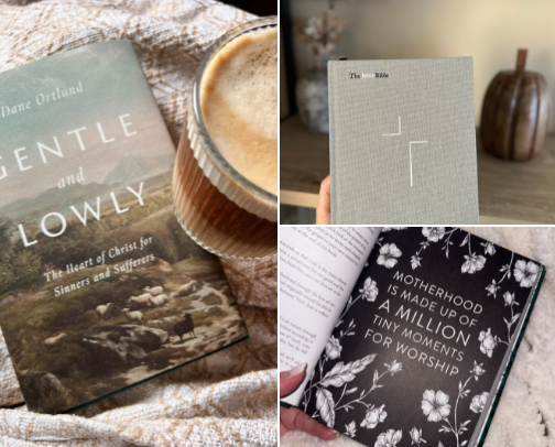 All things Jesus ✝️ cover photo collage