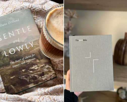 All things Jesus ✝️ cover photo collage