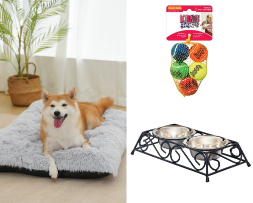 First Time Dog Owner – What to Buy cover photo collage