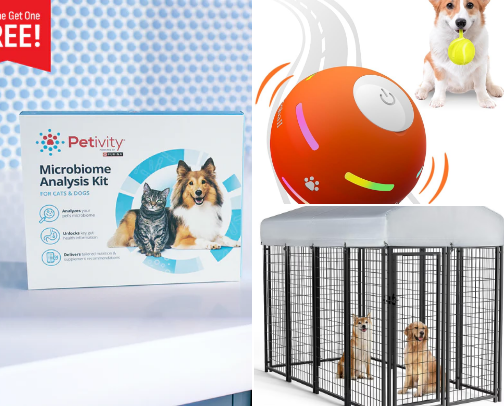 Pet stuff cover photo collage