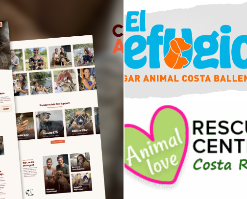 Pet Animal Rescues in Costa Rica cover photo collage