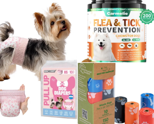 Grain-Free Dog Food, Treats, Supplements & Everyday Essentials cover photo collage