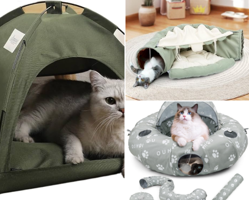 Supplies for New Kitten Parents 🐱 cover photo collage