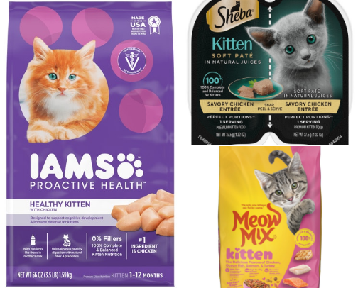 Supplies for New Kitten Parents cover photo collage