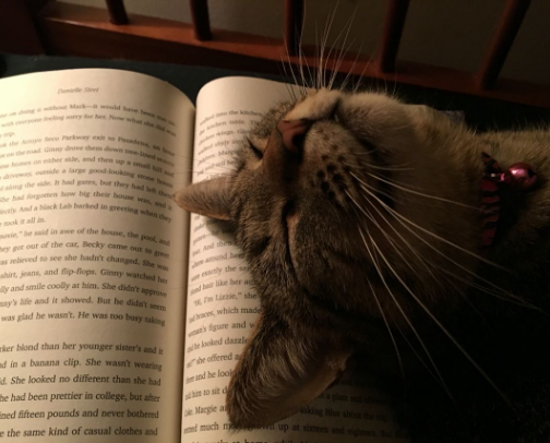 My favorite book recs cover photo collage