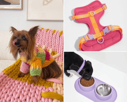 Fun Pets cover photo collage