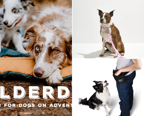 Dog Walker Approved Products for Large Breeds cover photo collage