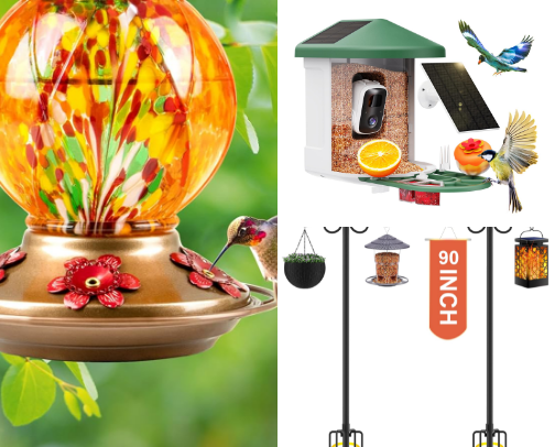 Birds! 🐦 Feeders, food, and more cover photo collage
