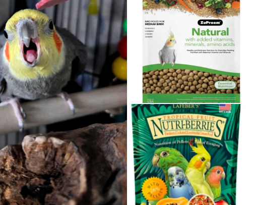 Bird Supplies - only the best for our birb overlords! 🇨🇦 cover photo collage