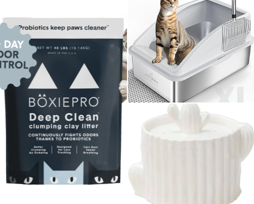 Feline must haves for a healthier lifestyle and overall well-being. cover photo collage