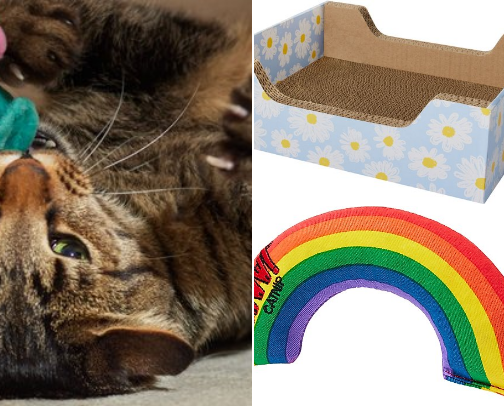 Best Gifts for Cat Moms cover photo collage