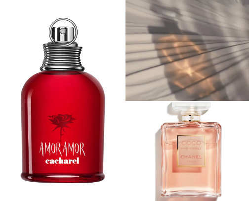 Beautiful Perfumes for any Occasion cover photo collage