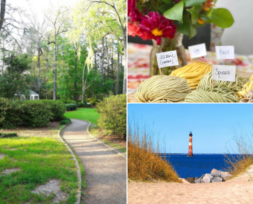 Things to do in Summerville, SC cover photo collage