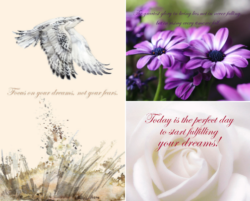 Inspirational quotes for cards, home decor and wall art cover photo collage