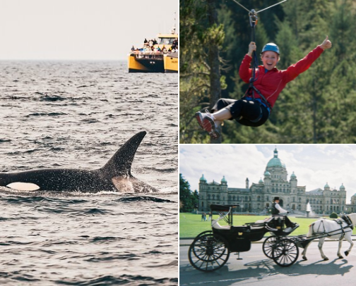 Top things to do in Victoria, Vancouver Island cover photo collage