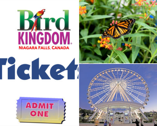 Things to do in Niagara Falls - Canada cover photo collage