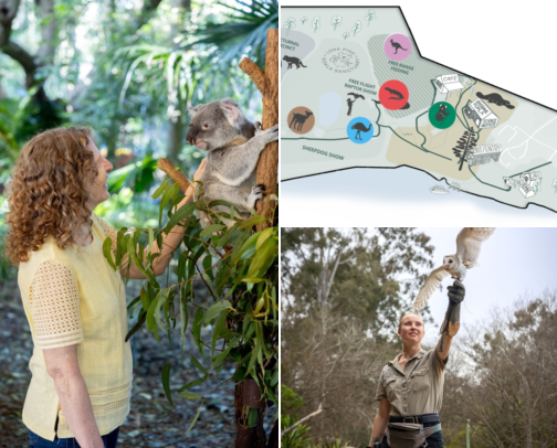 I Finally Visited Lone Pine Koala Sanctuary and Here's Everything Worth Doing cover photo collage