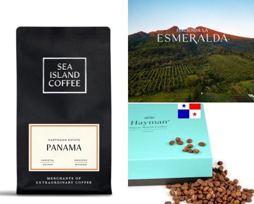 20 Best Premium Coffee Beans in the USA & Europe: Luxury Single-Origin & Specialty Coffeesist cover photo collage